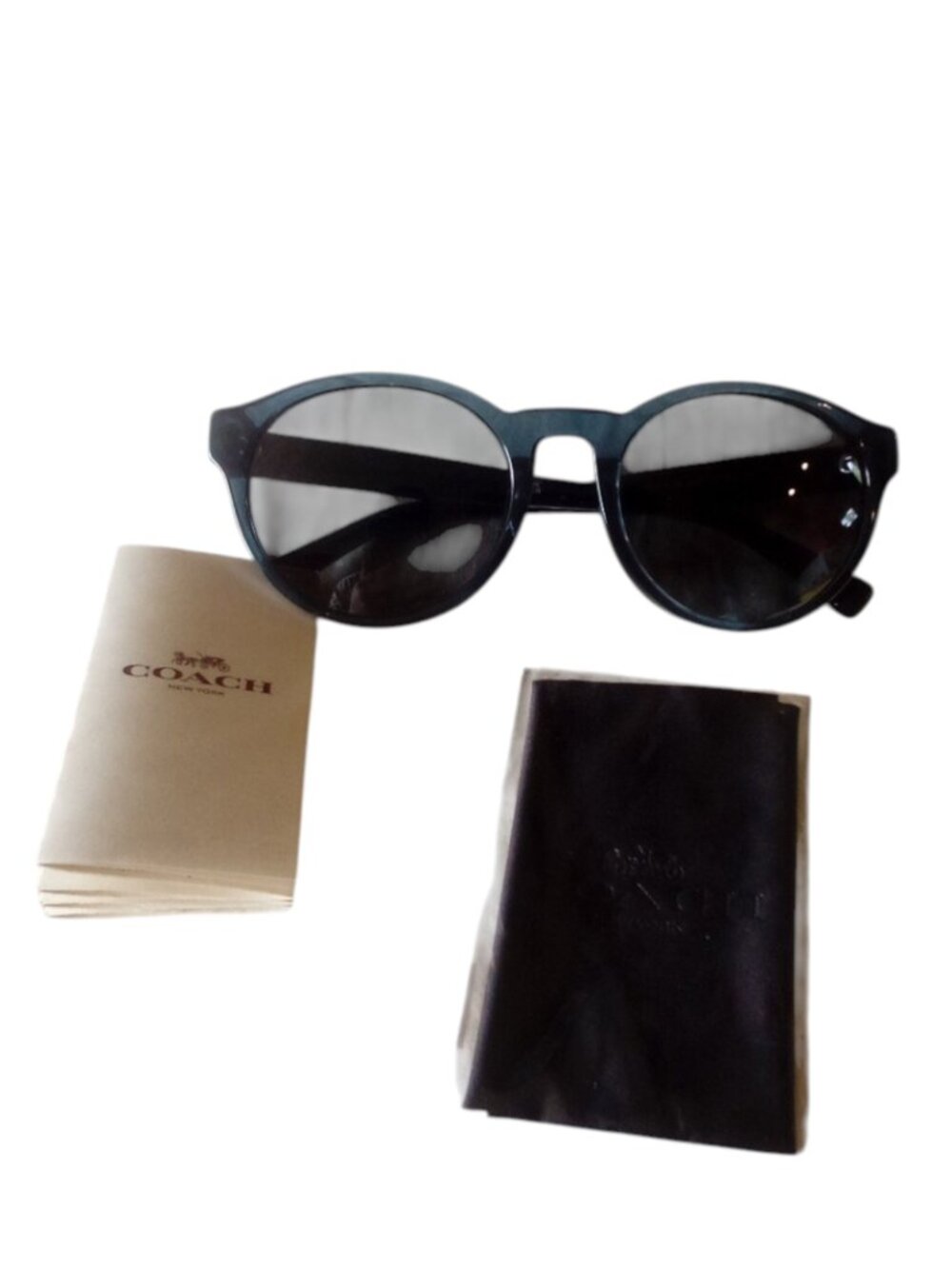 NEW COACH HC8275 L1095 Transparent Blue Jay Sunglasses 55mm